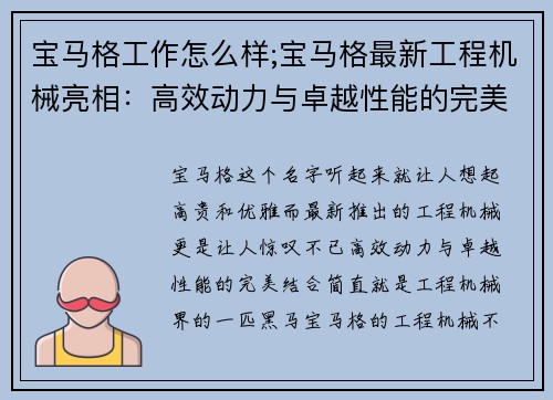 宝马格工作怎么样;宝马格最新工程机械亮相：高效动力与卓越性能的完美结合